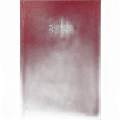 LİZY EKONOMİK CİLTBEZİ ÇİFT RENK BASKILI ÇİZGİLİ AJANDA