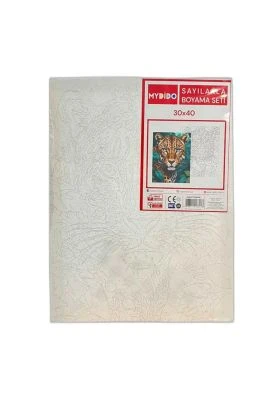 MYDİDO 30X40CM SAYILARLA BOYAMA TUVAL SETİ