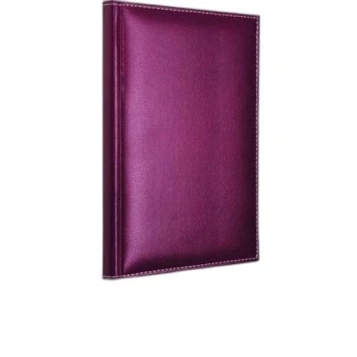 MODELİST DERİ KAPAK 17X24 160 YAPRAK ÇİZGİLİ DEFTER