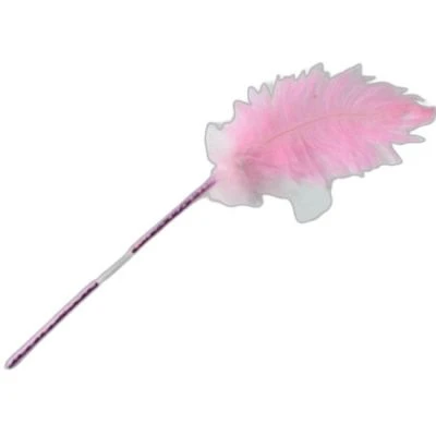 TAROS VİNTAGE LABEL KUŞ TÜYÜ 25 CM TÜKENMEZ KALEM