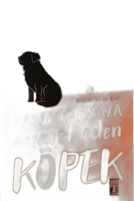 HAYAL KURMAYACESARET EDENKÖPEK