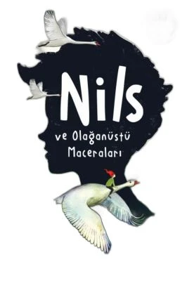 NİLS VEOLAĞANÜSTÜ MACERALARI