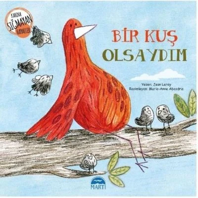 BİR KUŞ OLSAYDIM / KABINA SIĞMAYAN HAYALLER DİZİSİ
