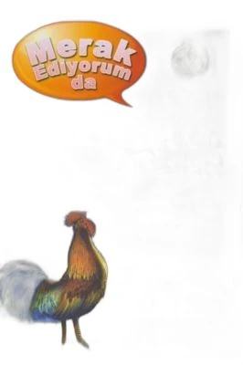MERAK EDİYORUM DA-GÜNEŞ NEDEN DOĞAR