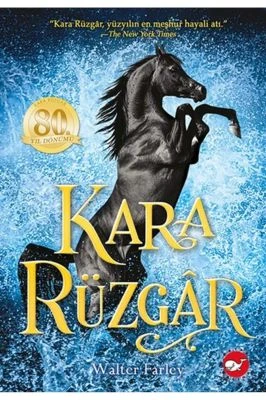 KARA RÜZGAR