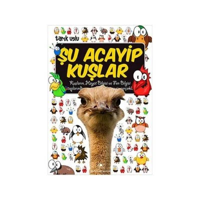 ŞU ACAYIP KUŞLAR