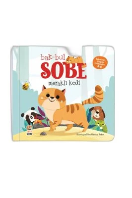 BAK BUL SOBE MERAKLI KEDI
