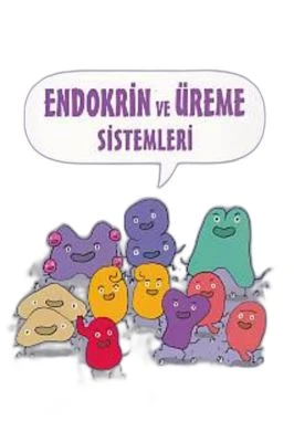 BİLİMİN ÇİZGİ ROMANI-ENDOKRİN VE ÜREME SİSTEMLERİ
