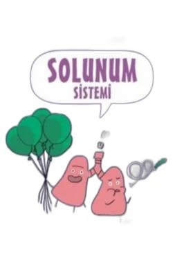 BİLİMİN ÇİZGİ ROMANI-SOLUNUM SİSTEMİ
