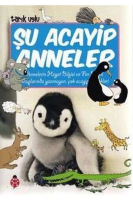 ŞU ACAYIP ANNELER