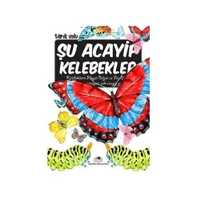 ŞU ACAYIP KELEBEKLER
