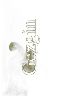 GEZGİN