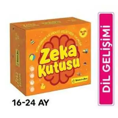 ZEKA KUTUSU 16-24 AY