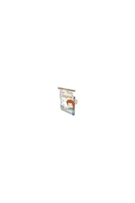 GÜNLÜK GÜNEŞLIK HIKAYELER SETI - 1. SINIF (10 KITAP)