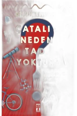 ÇATALIN NEDEN TADI YOKTUR?