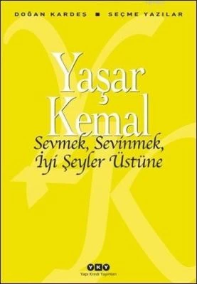 SEVMEK, SEVINMEK, İYI ŞEYLER ÜSTÜNE