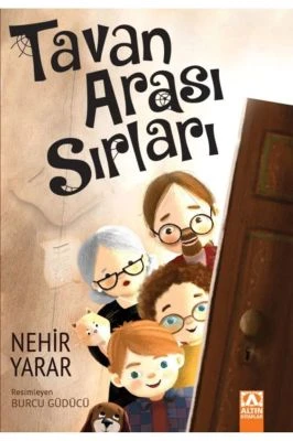 TAVAN ARASI SIRLARI