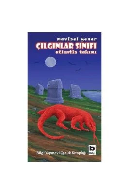 ÇILGINLAR SINIFI - ATLANTIS TAKIMI