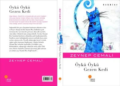 ÖYKÜ ÖYKÜ GEZEN KEDI